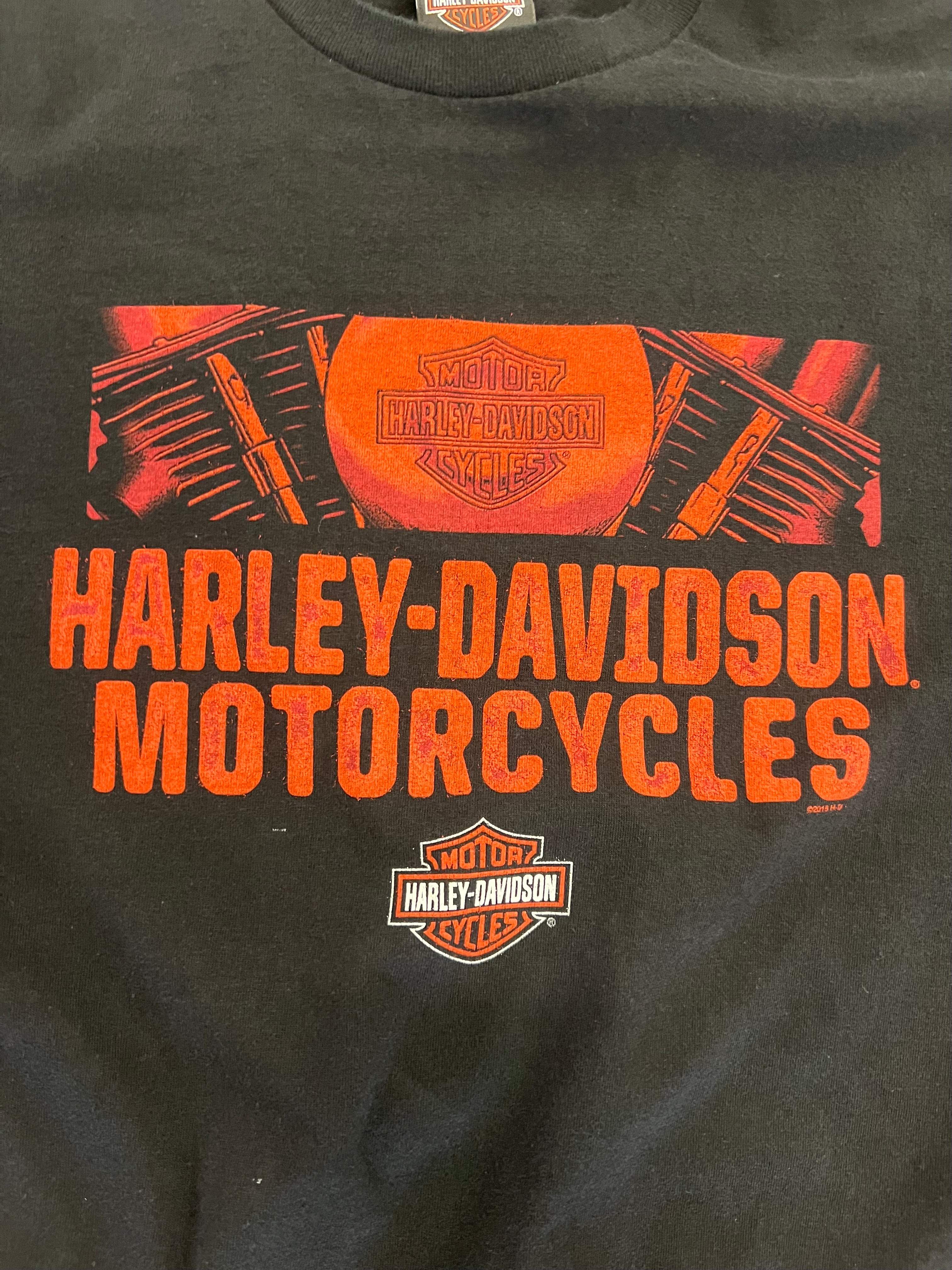 2013 Avalanche Harley Davidson X Biker Built Denver Colorado Tee